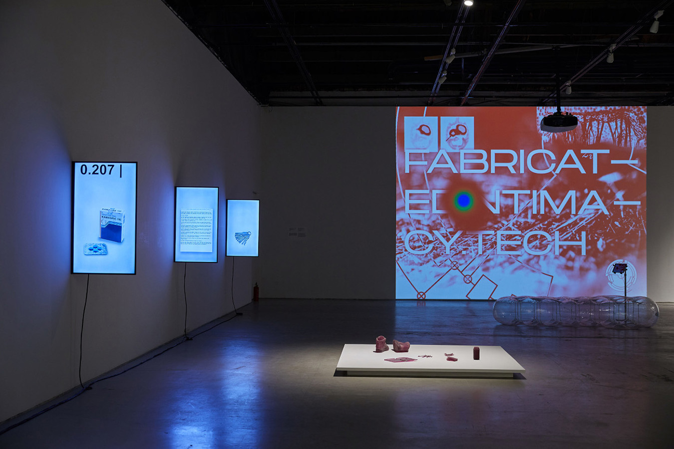 gallery space with a projection of fabricated intimacy website on wall from a different angle